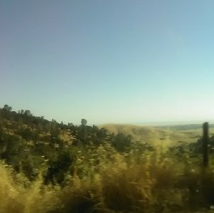 Meet your Posher, Monique